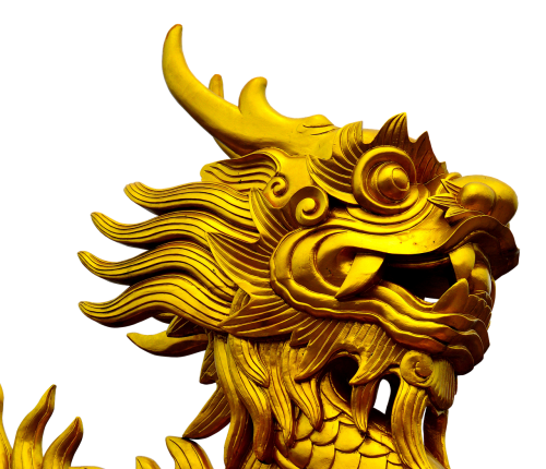 dragon gold golden dragon