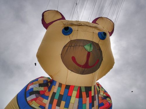 dragon kite flying bear