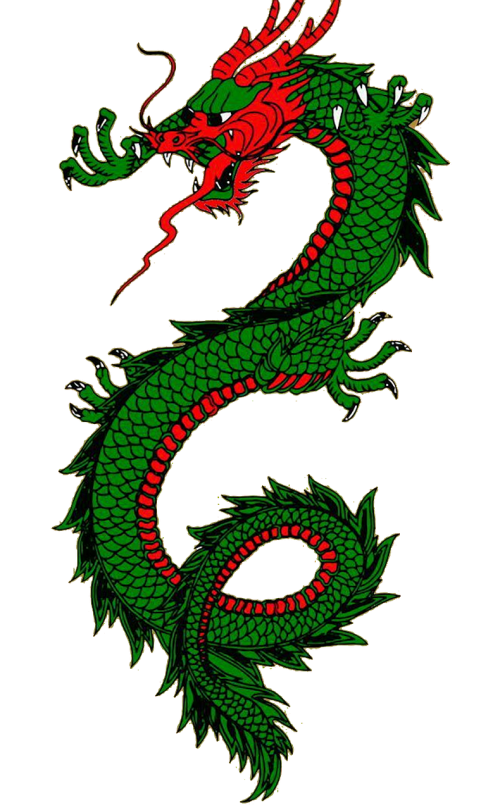 dragon lizard animal