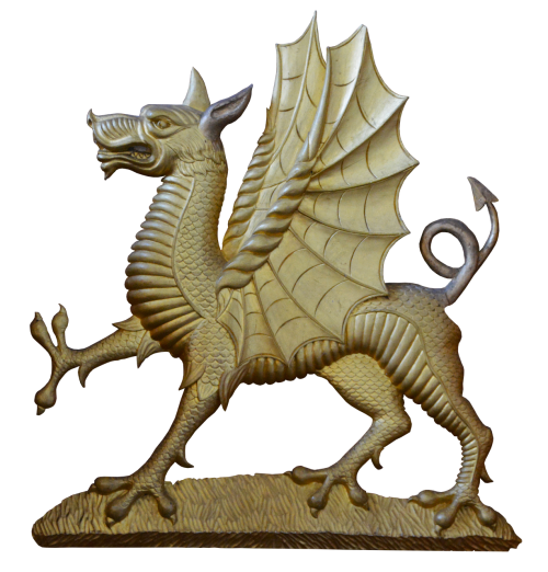 dragon wing bronze