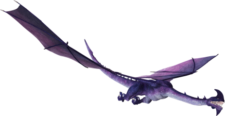 dragon creature fantasy
