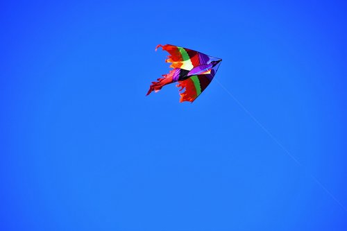 dragon  flying  kite