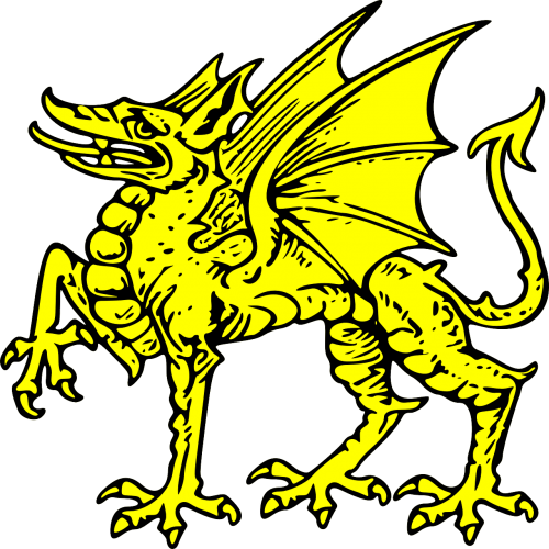 dragon shield gold