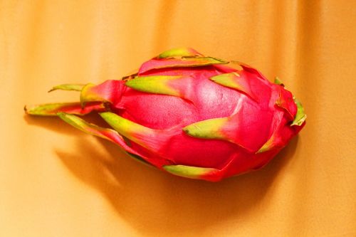 dragon fruit fruit taiwan