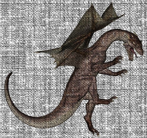 Dragon On Fabric