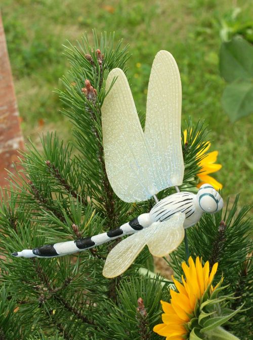 dragonfly contemplative cemetery