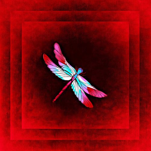 dragonfly frame image