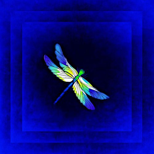 dragonfly frame image