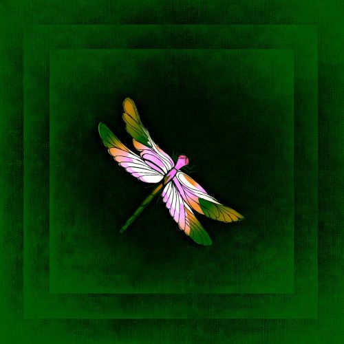 dragonfly frame image