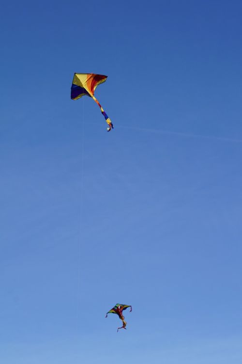 dragons kite flying sky