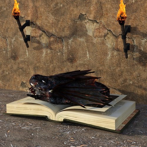 dragons  book  torches