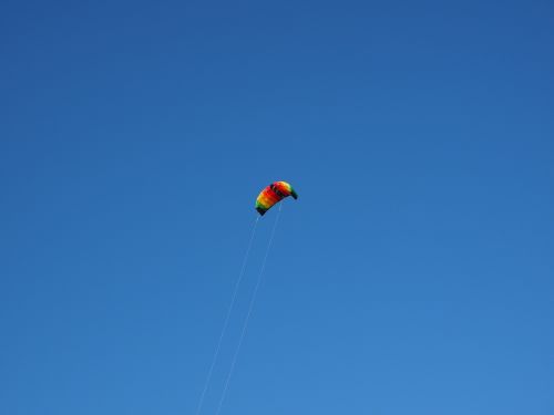 dragons kite kite flying