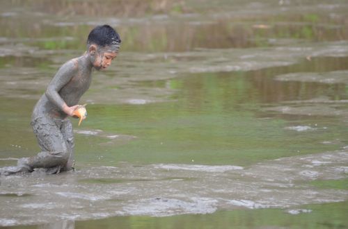 Drain Pond Fish