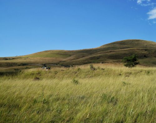 drakensberg mountains veld