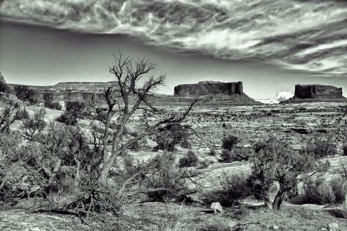 dramatic spooky desert