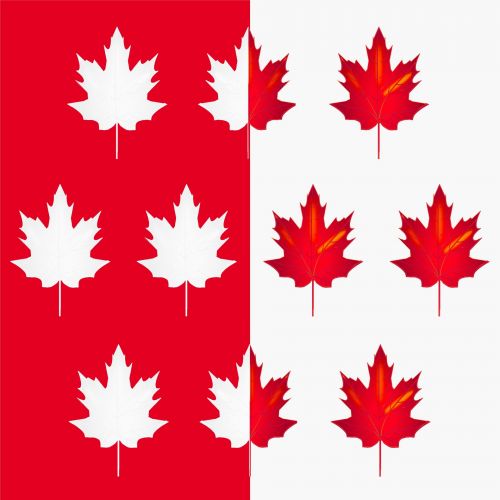 Canadian Flag # 1