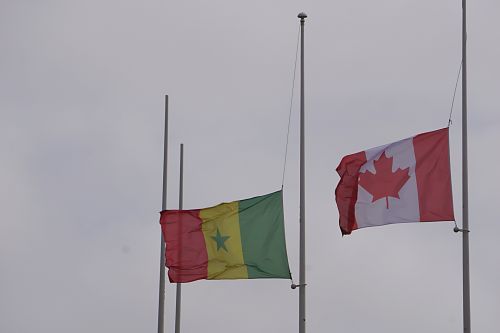 Wind Flags