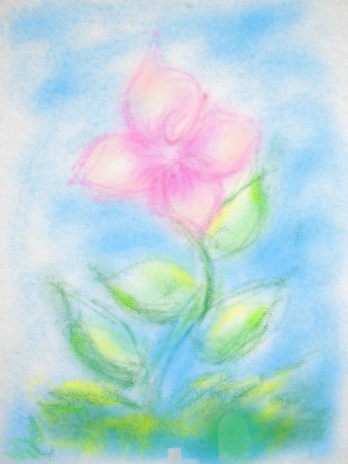 drawing flower pastels