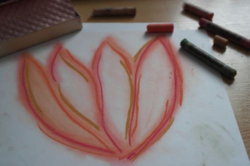 drawing flower pastels