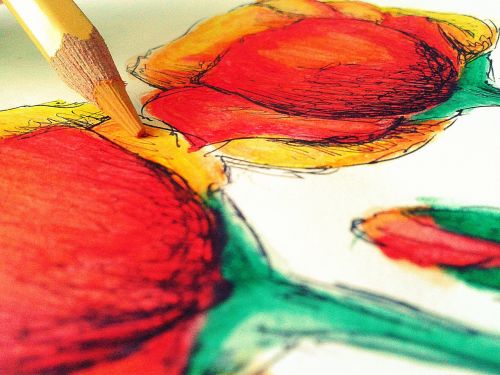 drawing art flowers