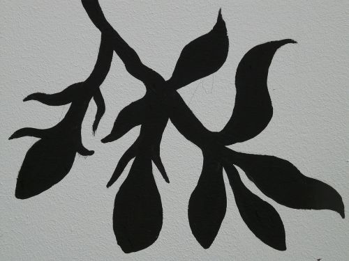 drawing leaf branch