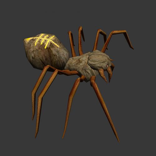 Drawing Of A Spider