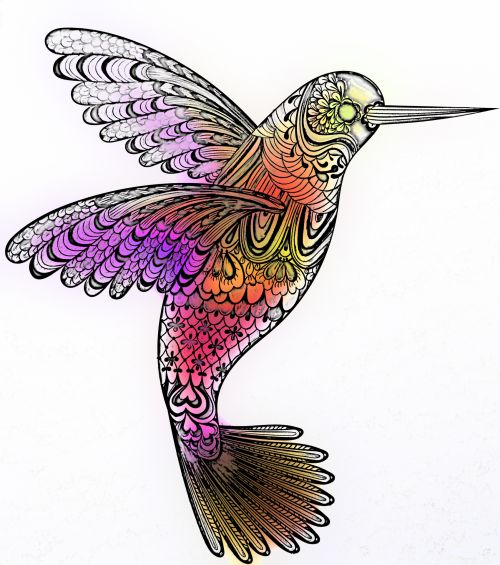 Drawn Hummingbird