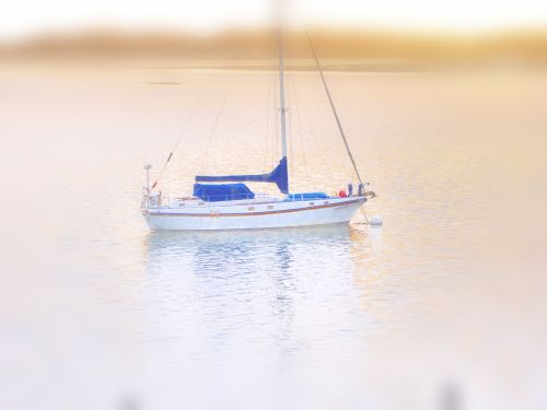 Dream Sail Boat