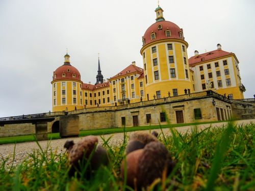 dresden moritzburg cinderella