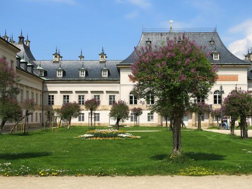 dresden pillnitz castle