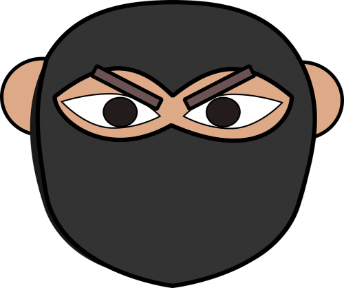 dress-up head head ninja