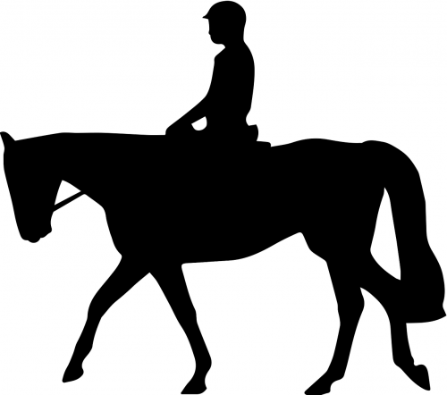 dressage horse rider