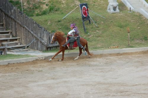 dressage horse stunts