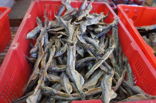 dried  fish  food