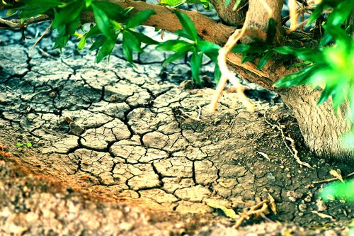 dried  cracked  soil