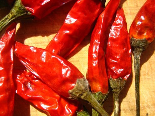 dried chili peppers hot red