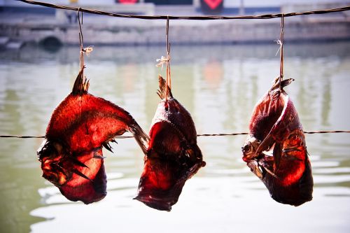 dried fish rope the new year