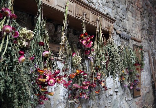 dried flowers  grange  romantic