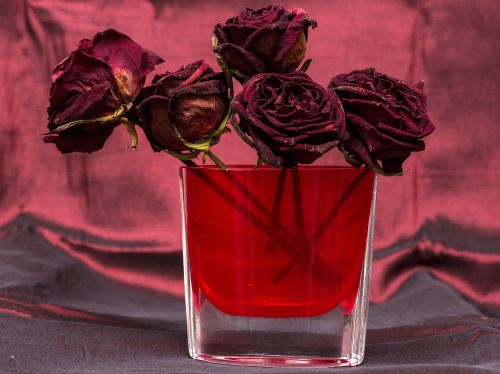 dried flowers roses bouquet