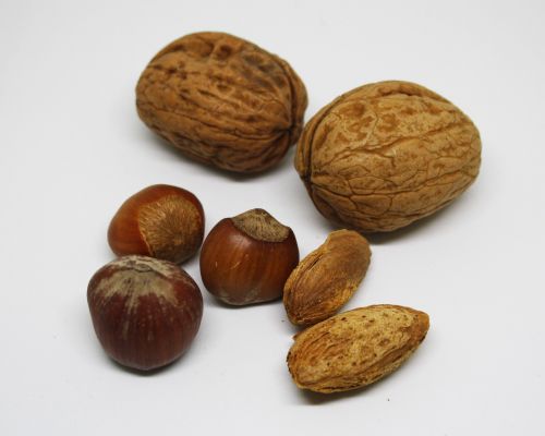dried fruit hazelnuts walnuts