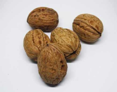 dried fruit hazelnuts walnuts