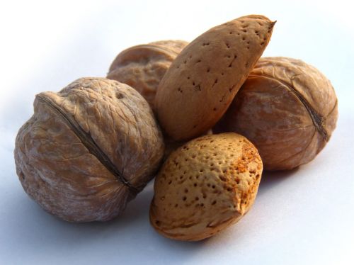 dried fruits nuts almonds