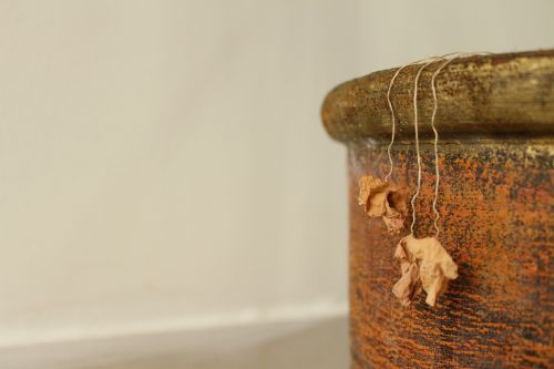 dried leaves background flower pot