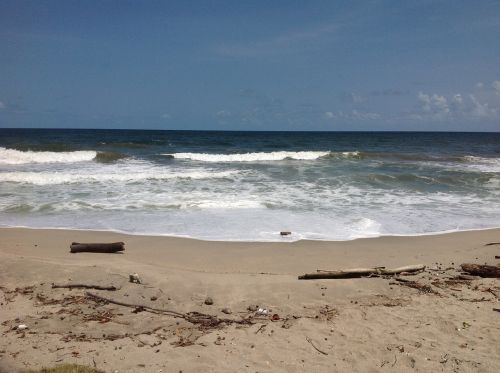 drift wood beach