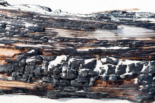drift wood burned texture