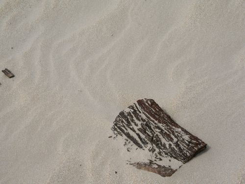 drift wood sand pattern beach