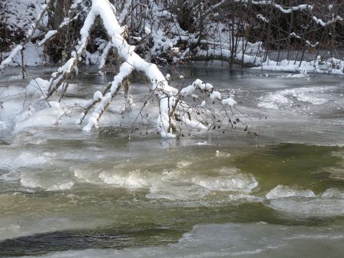 drifting ice ice covered creek