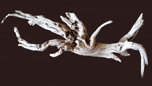 driftwood shape texture