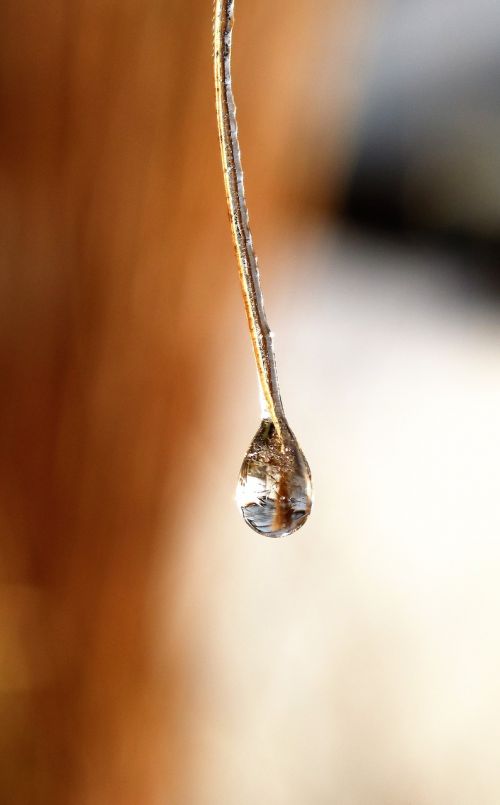 drip dew dewdrop