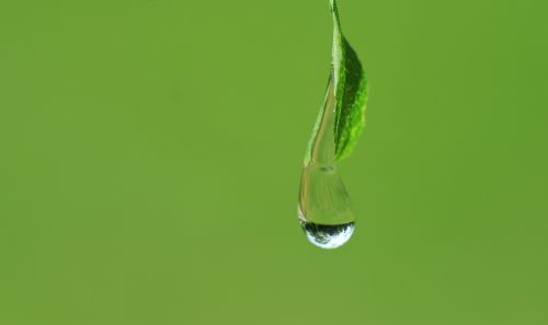 drip close drop of water
